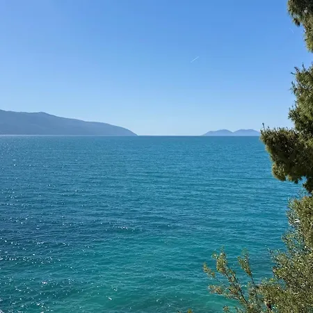 Zhironi 4*
